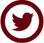 Twitter Icon