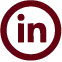 LinkedIn Icon